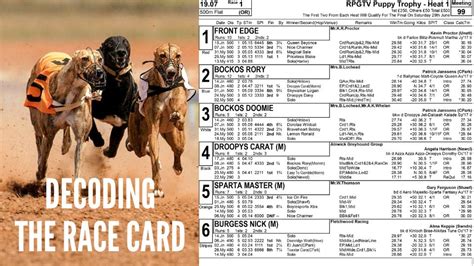 at the races tomorrow's racecards|Tomorrow’s Greyhound Racecards .